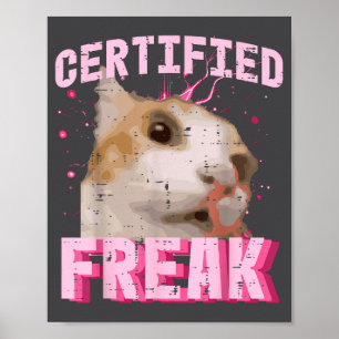 Cat Certified Freak Funny Saying Kitten Women Girl Poster