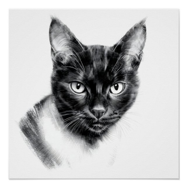 Cat Charcoal Poster (Front)