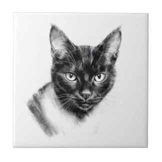 Cat Charcoal Tile