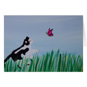 Cat Chasing Butterfly