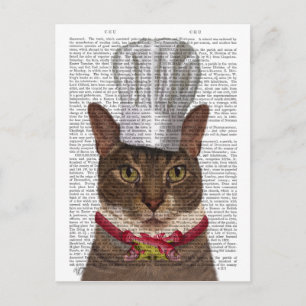 Cat Chef Postcard