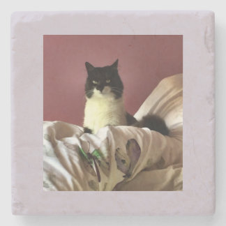 Cat chillax stone coaster