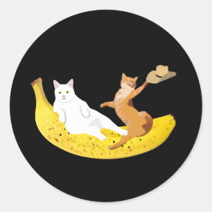 Cat chilling on banana holding hat classic round sticker