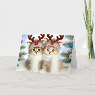 Cat Christmas card