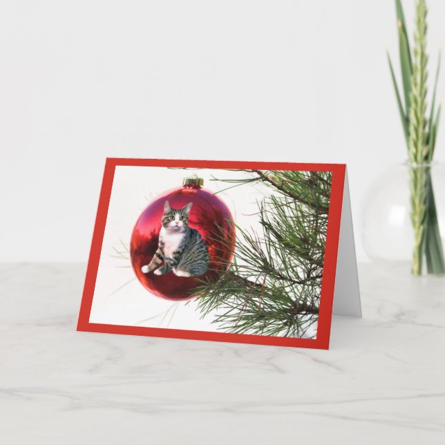 Cat Christmas Card (Front)