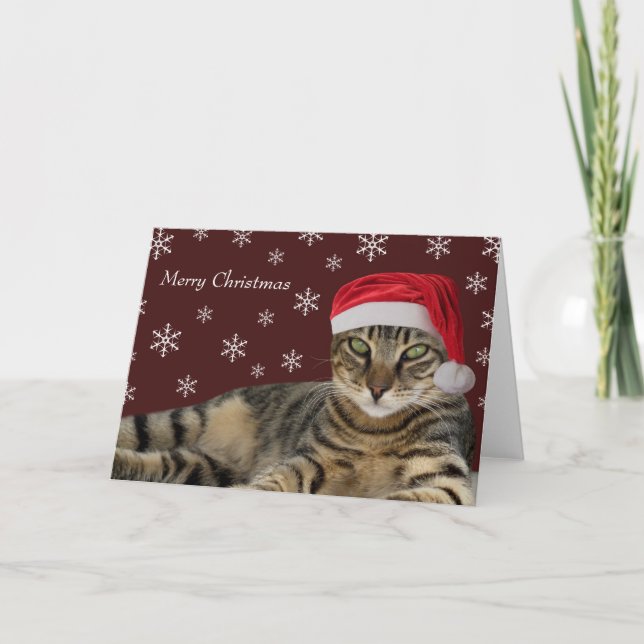 Cat Christmas Cards (Front)