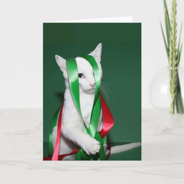 Cat Christmas help Holiday Card (Front)