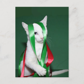 Cat Christmas help Holiday Postcard