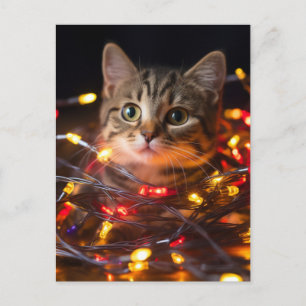 Cat Christmas Lights Postcard