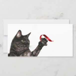 Cat Christmas ribbon Holiday Card
