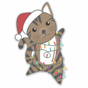 Cat Christmas Snow Winter Animals Cats