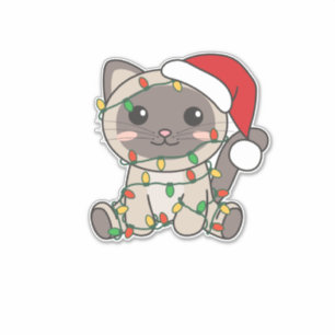 Cat Christmas Winter Animals Cats