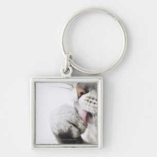 Cat cleaning paw keychain