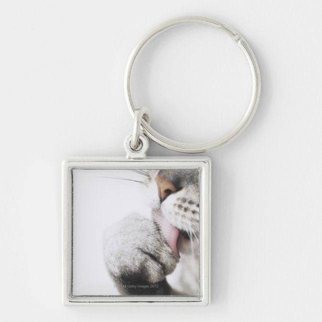Cat cleaning paw keychain (Front)