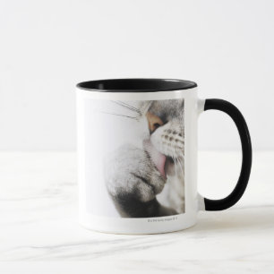 Cat cleaning paw mug