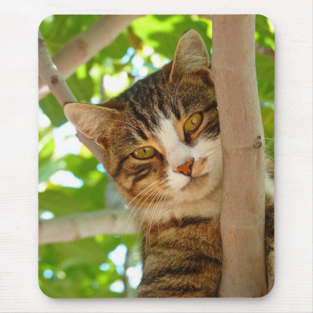 Cat Climbing a Tree Mouse Pad (Front)