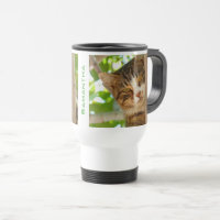 Cat Climbing a Tree Personalised