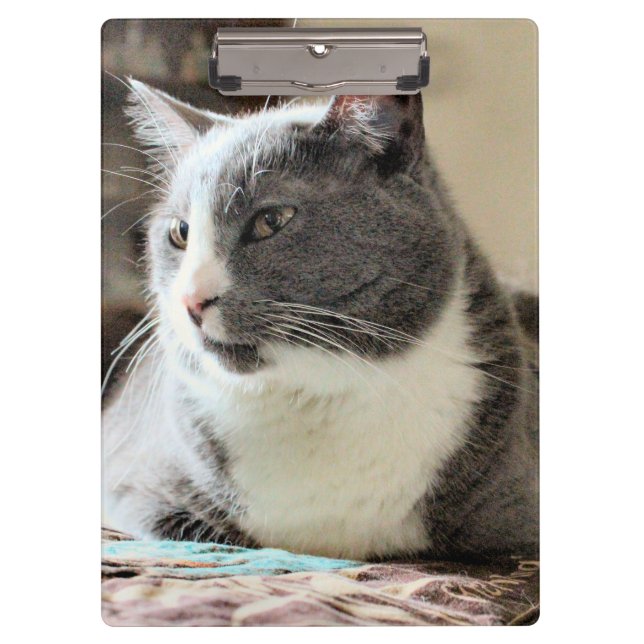 Cat Clipboard (Front)
