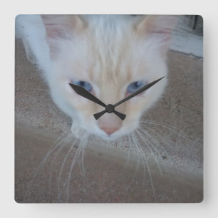 Cat Clock