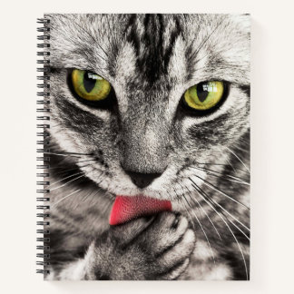 Cat Close Up Spiral Notebook