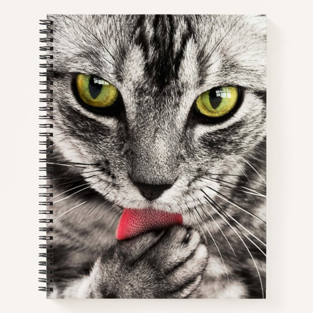 Cat Close Up Spiral Notebook (Front)
