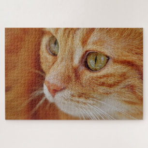 Cat closeup photo jigsaw puzzle