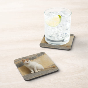 Cat Coasters