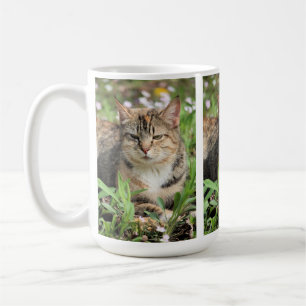 Cat Coffee Mug