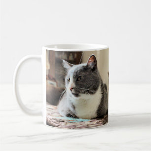 Cat Coffee Mug