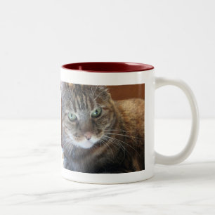 Cat Coffee Mug