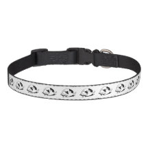 cat colar pet orange  pet collar