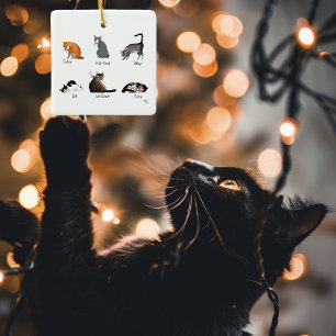 Cat Commands Ceramic Ornament