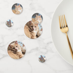 Cat Confetti