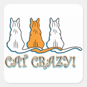 Cat Crazy Orange Tabby Cats Square Sticker