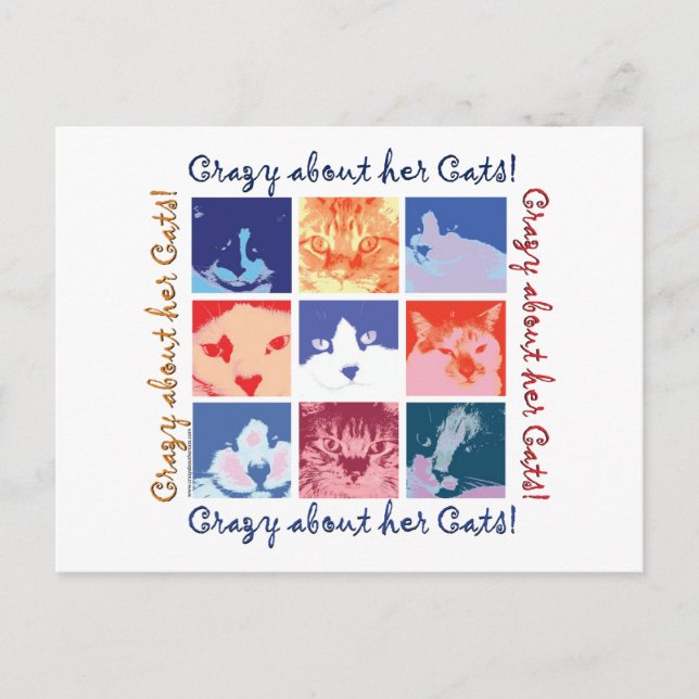 Cat Crazy Postcard (Front)
