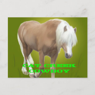 Cat Creek Cowboy PC Postcard