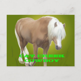 Cat Creek Cowboy PC Postcard