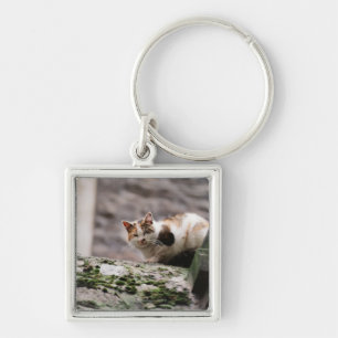 Cat crouching on rock wall keychain