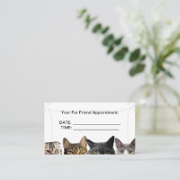 Cat Crowd Business Appointment Cards