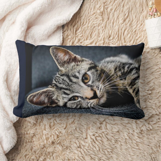 CAT CUDDLE CUTE KITTEN PILLOWS (Blanket)