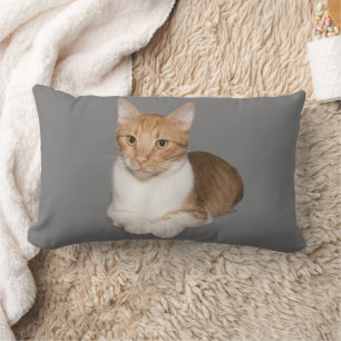 CAT CUDDLE GINGER & WHITE PILLOWS