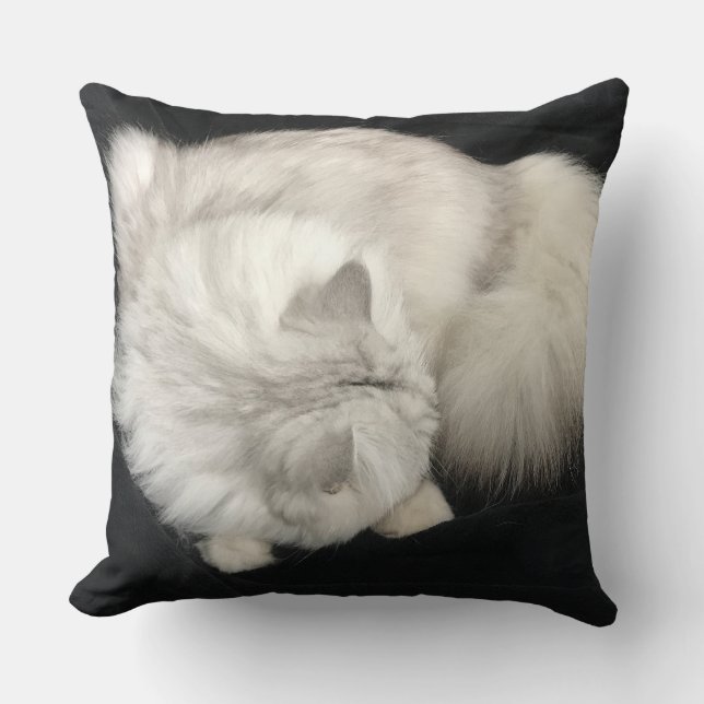 Cat Cuddle Pillow (Front)