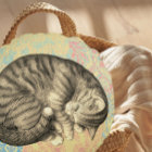 Cat curled up sleeping on quilt cute cozy