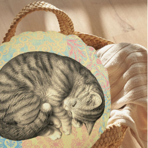 Cat curled up sleeping on quilt cute cozy round pillow