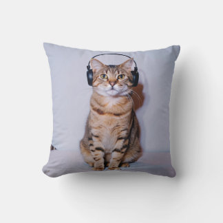 cat cushion