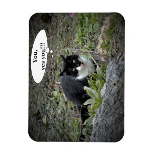 Cat Custom text Photo Magnet