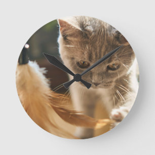 Cat, Cute, Small Round Clock