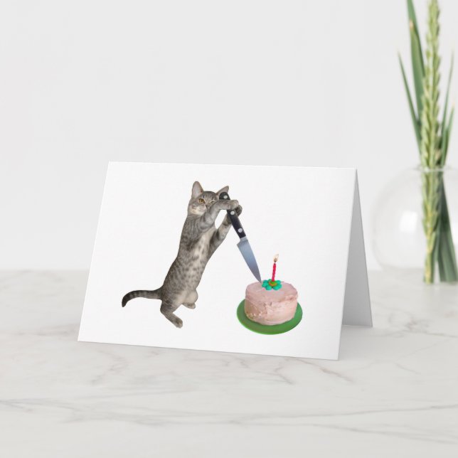 Cat Cutting Birthday Cake Card (Front)
