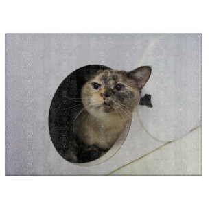 Cat Cutting Board