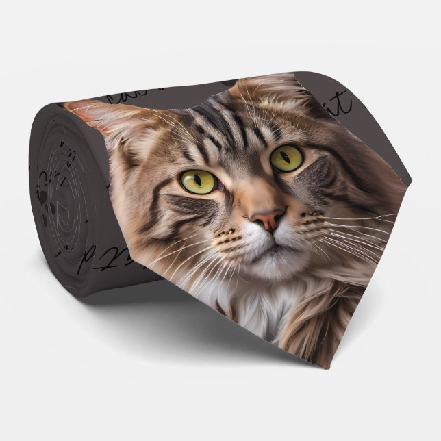 Cat Daddy Grey Tabby Cravate de chat (Roulé)